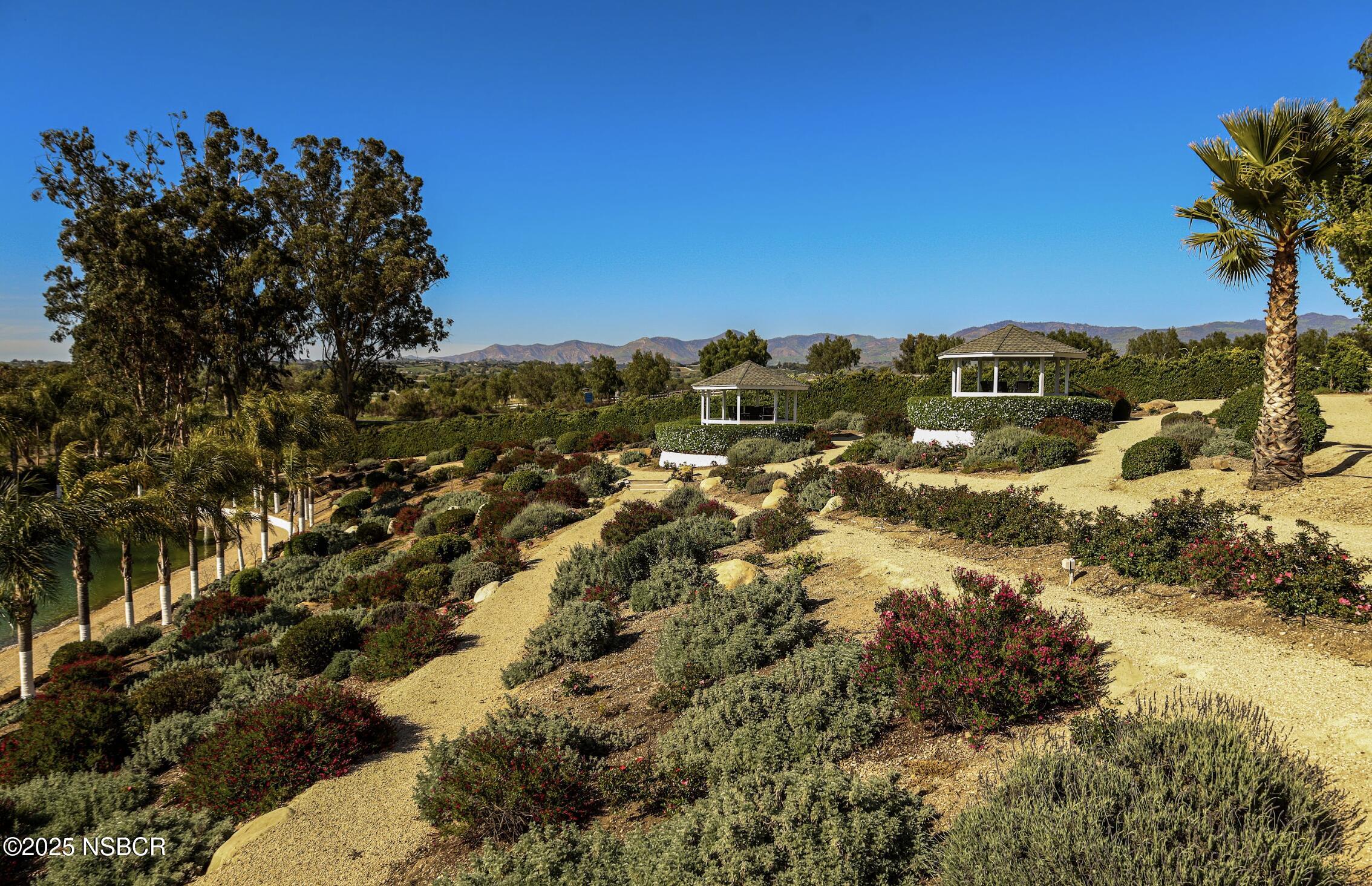 MLS #25000603 image #4