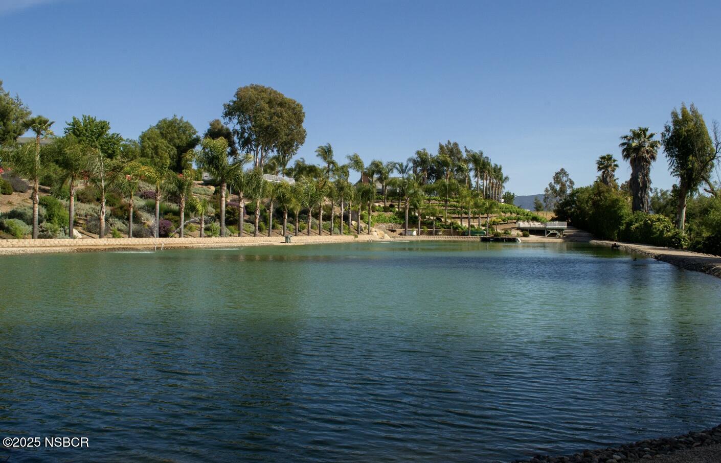 MLS #25000603 image #5