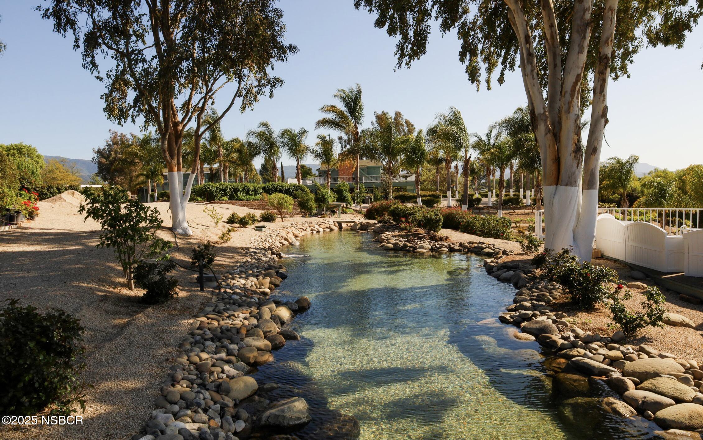 MLS #25000603 image #6