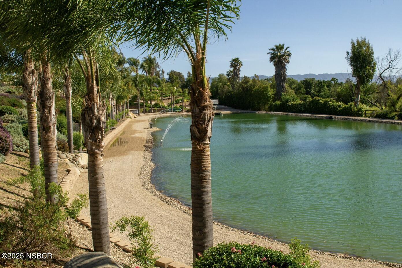 MLS #25000603 image #8