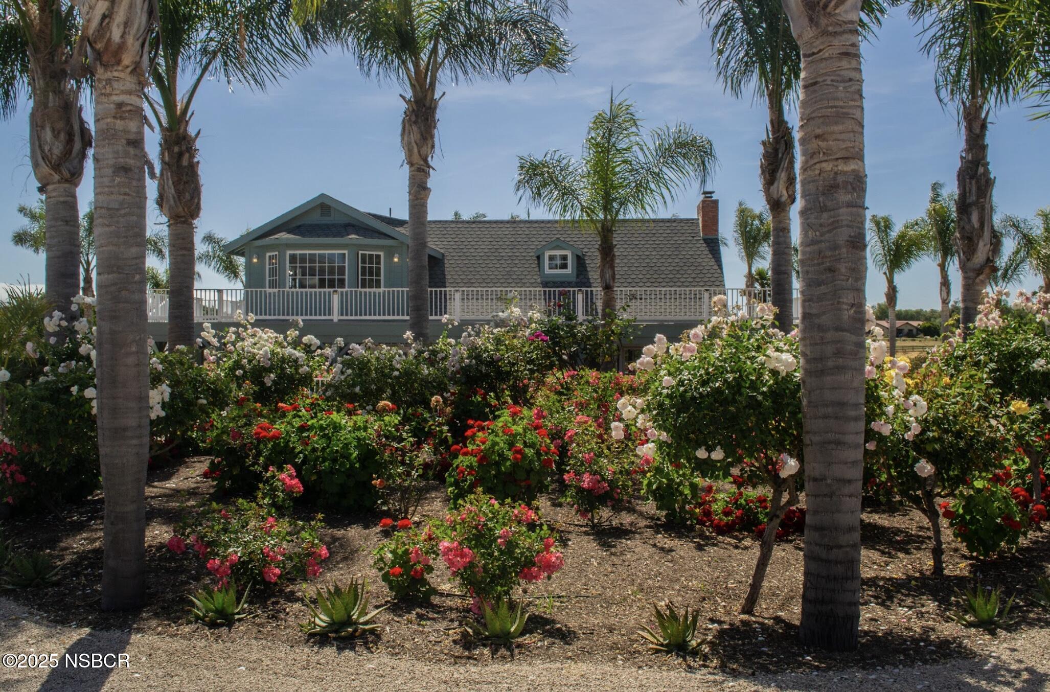 MLS #25000603 image #9