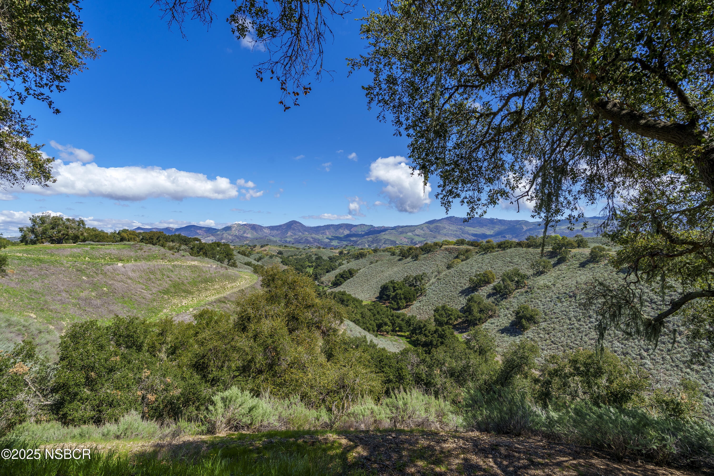 MLS #25000677 image #19