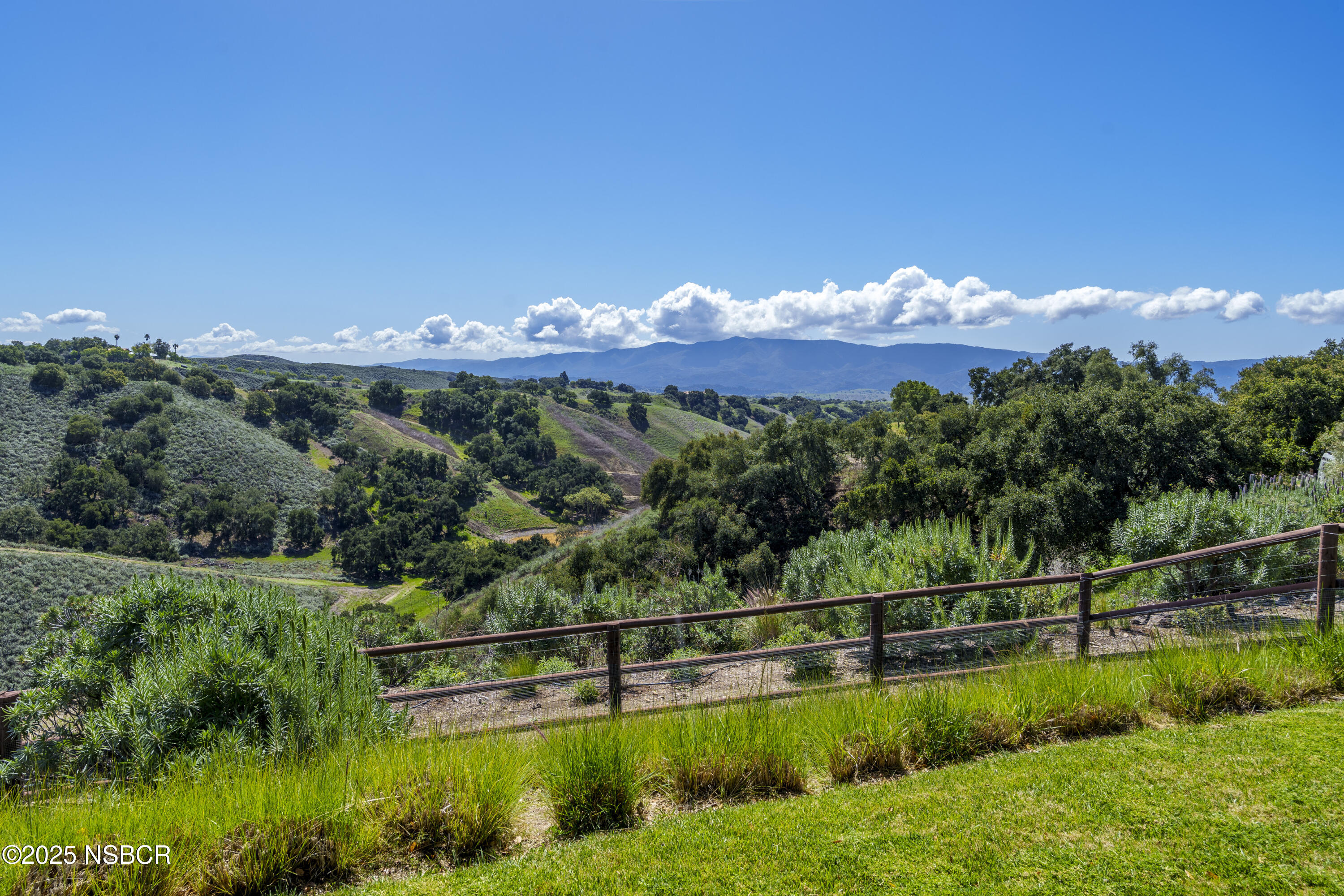 MLS #25000677 image #20