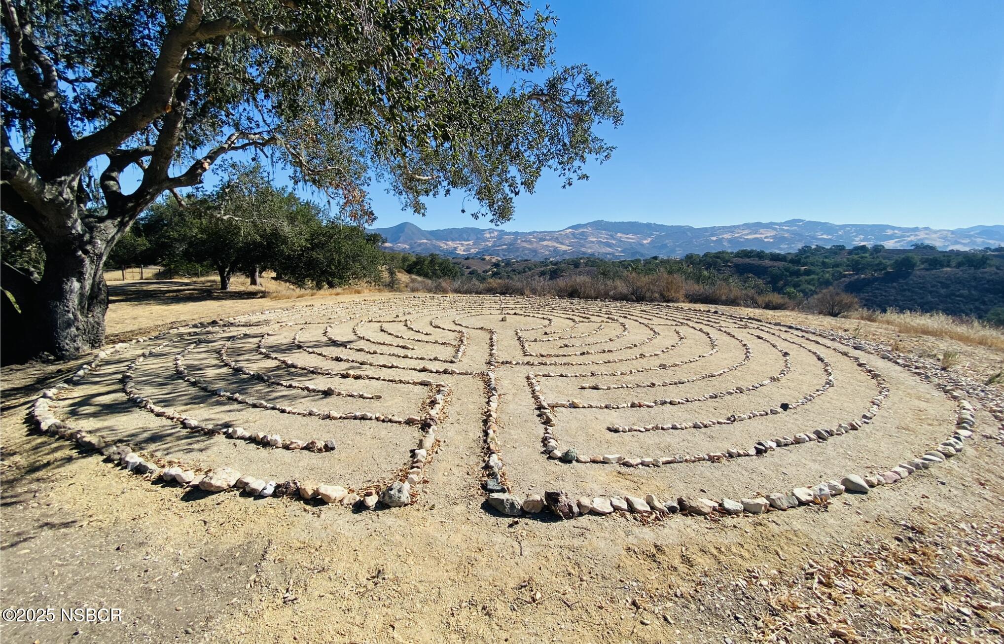 MLS #25000677 image #25