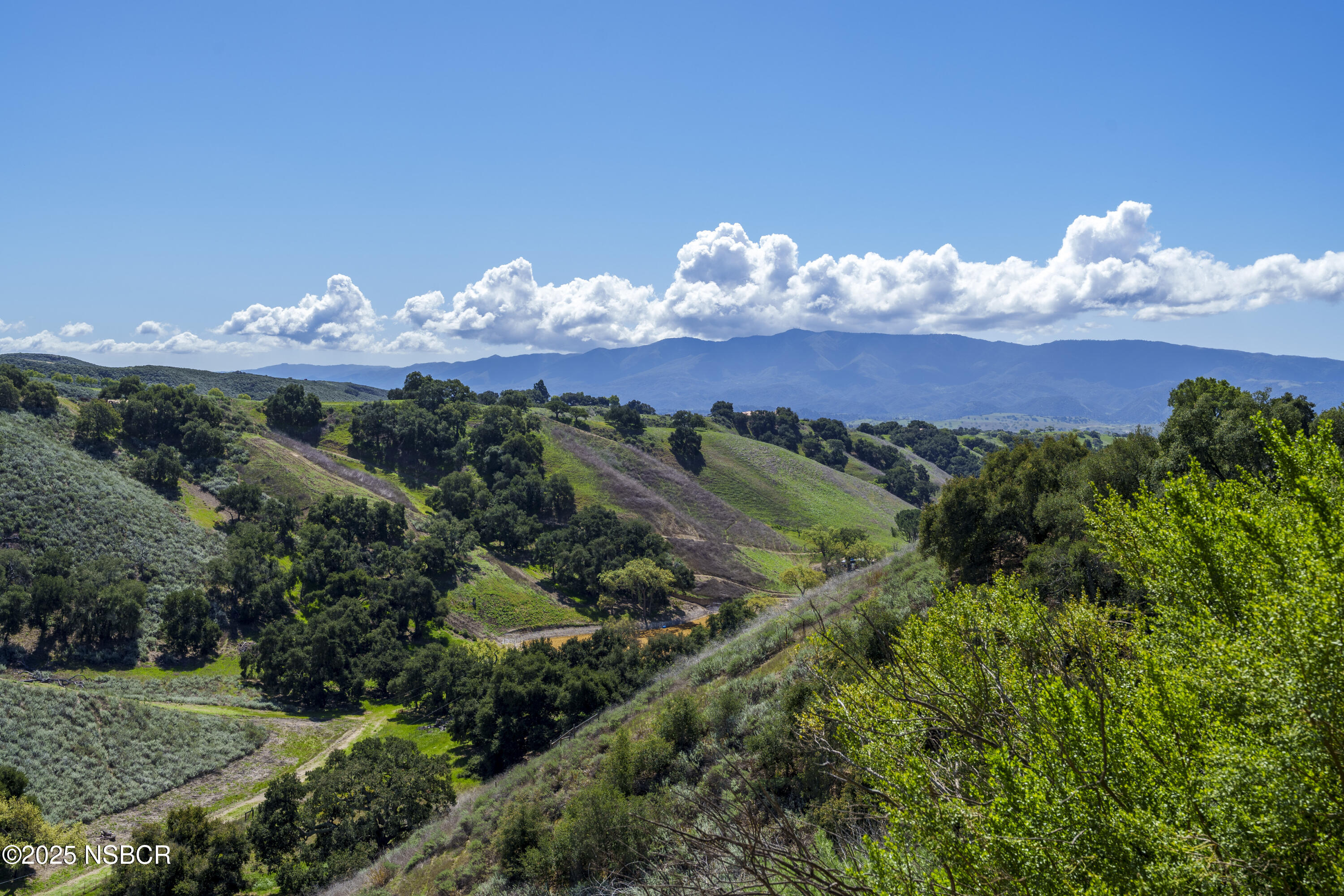 MLS #25000677 image #29