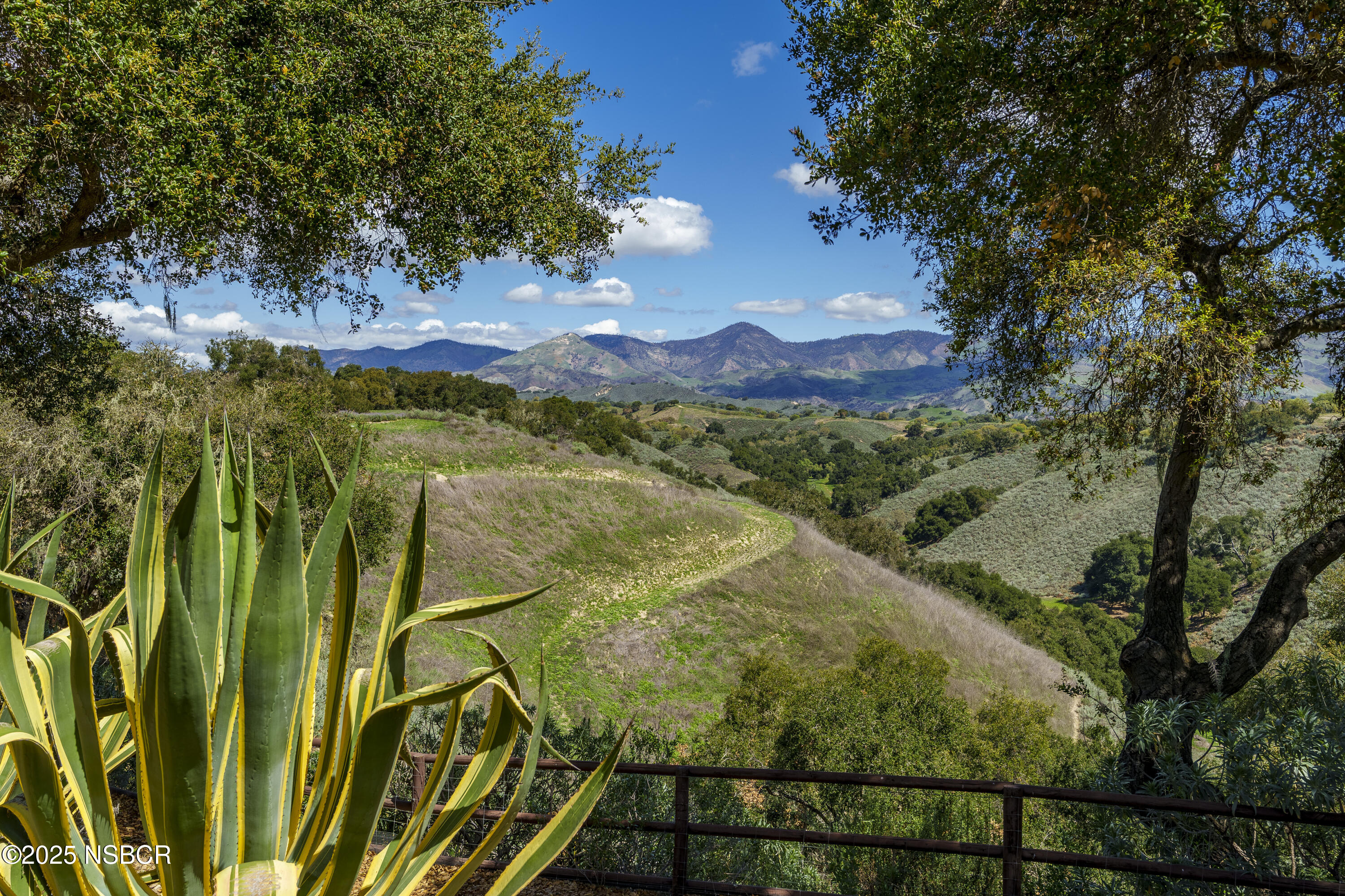 MLS #25000677 image #3