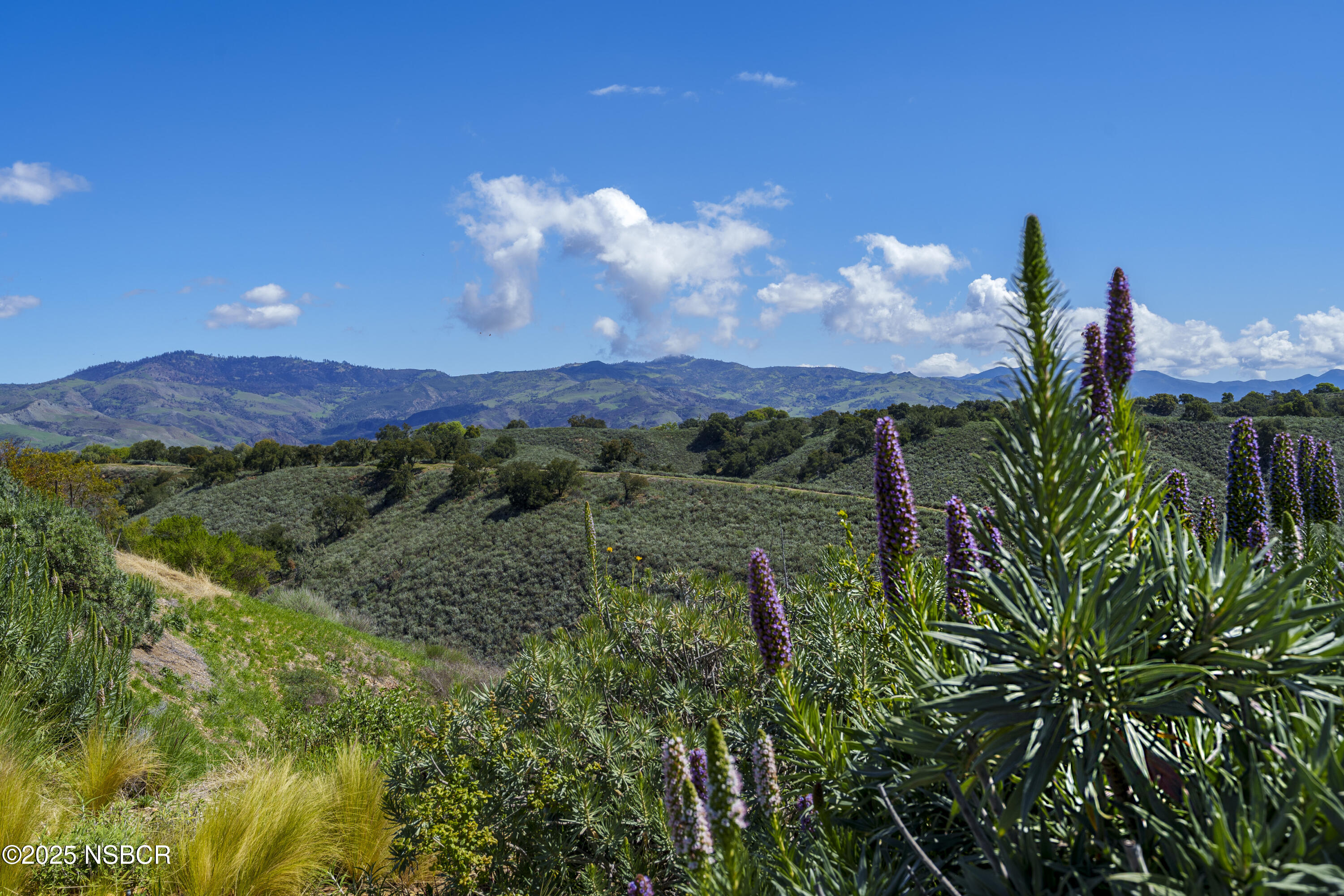 MLS #25000677 image #31