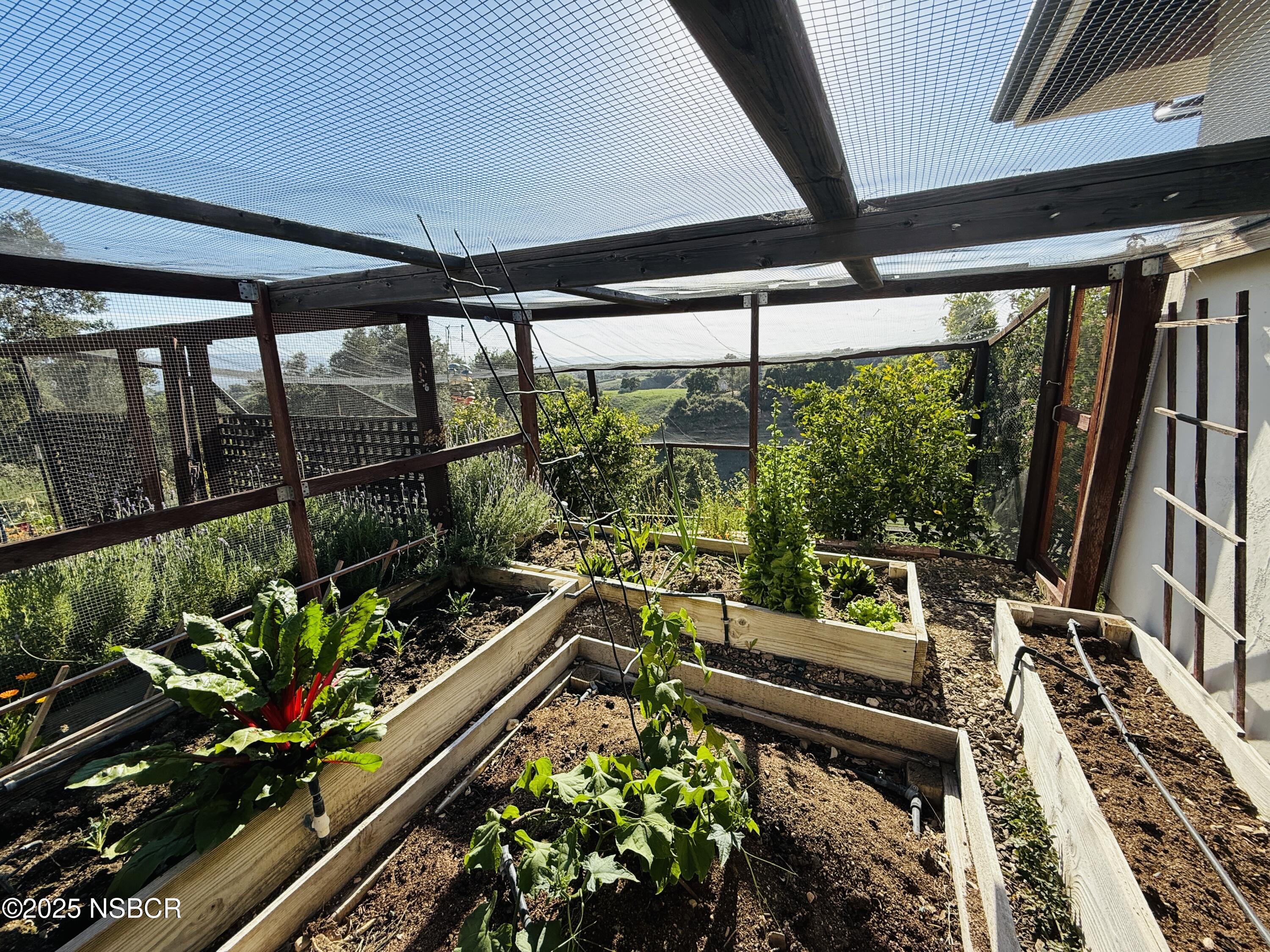 MLS #25000677 image #33