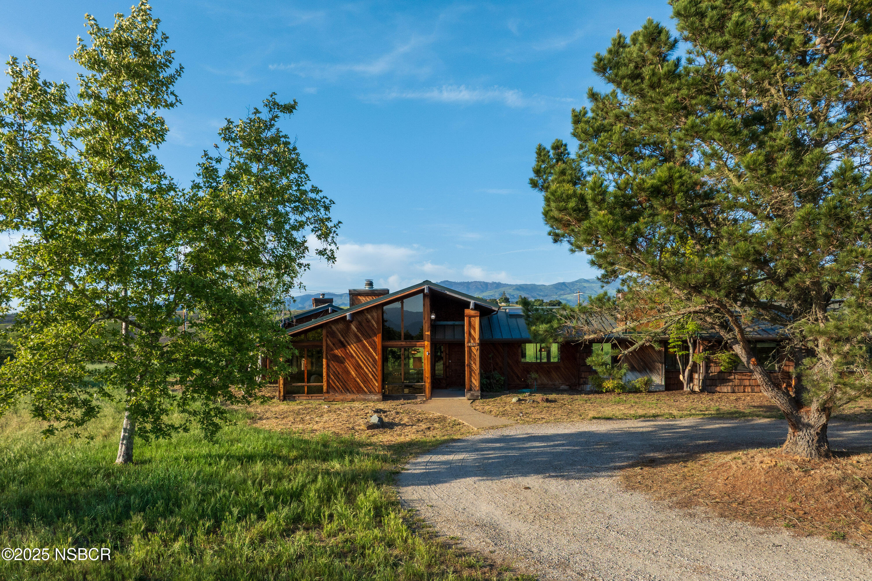 MLS #25000861 image #4