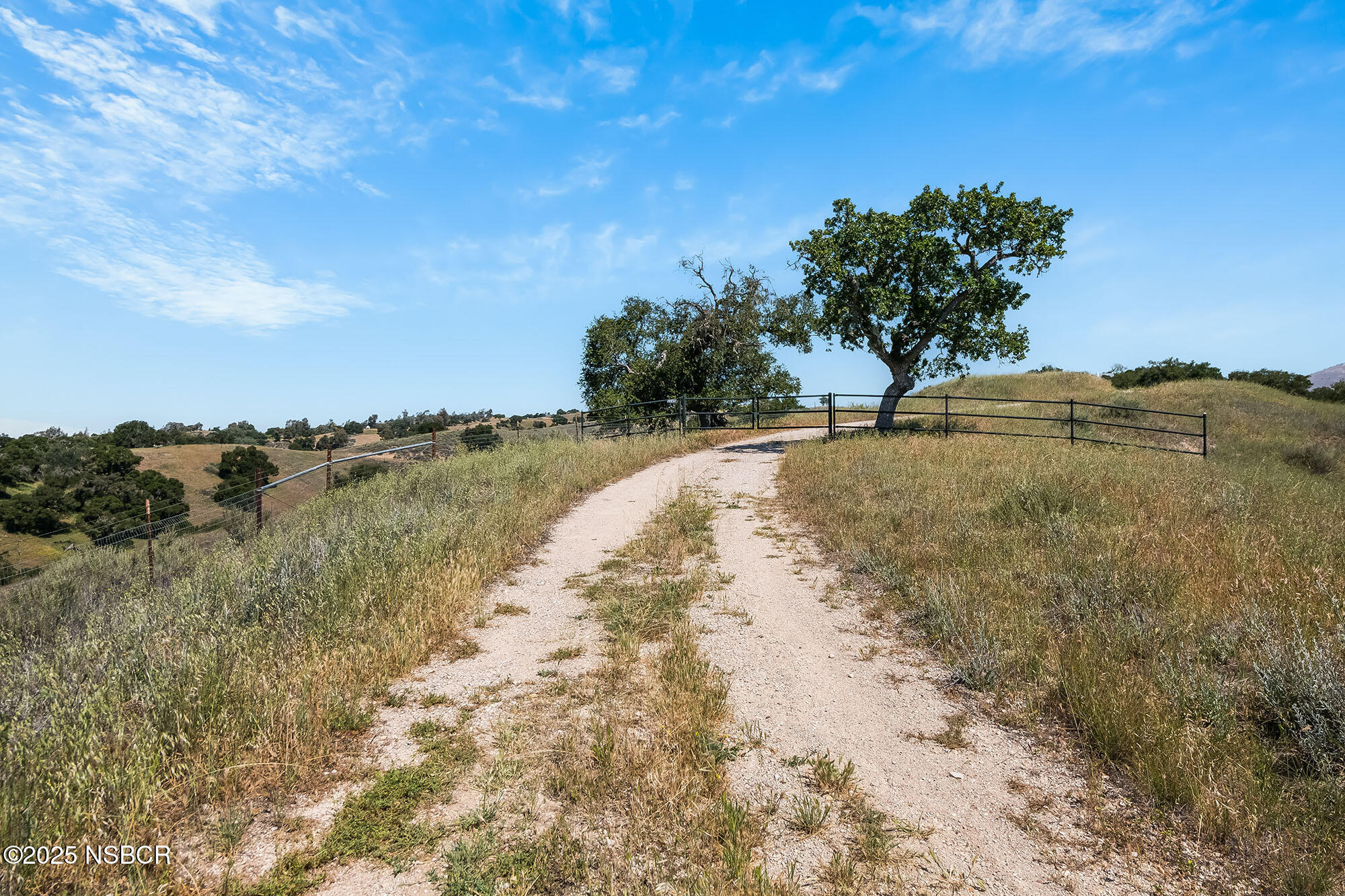 MLS #25001031 image #30