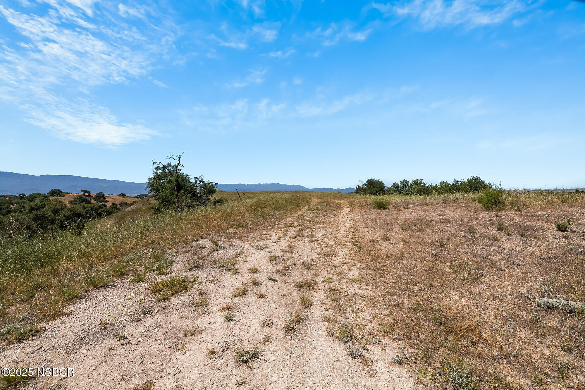 MLS #25001031 image #48