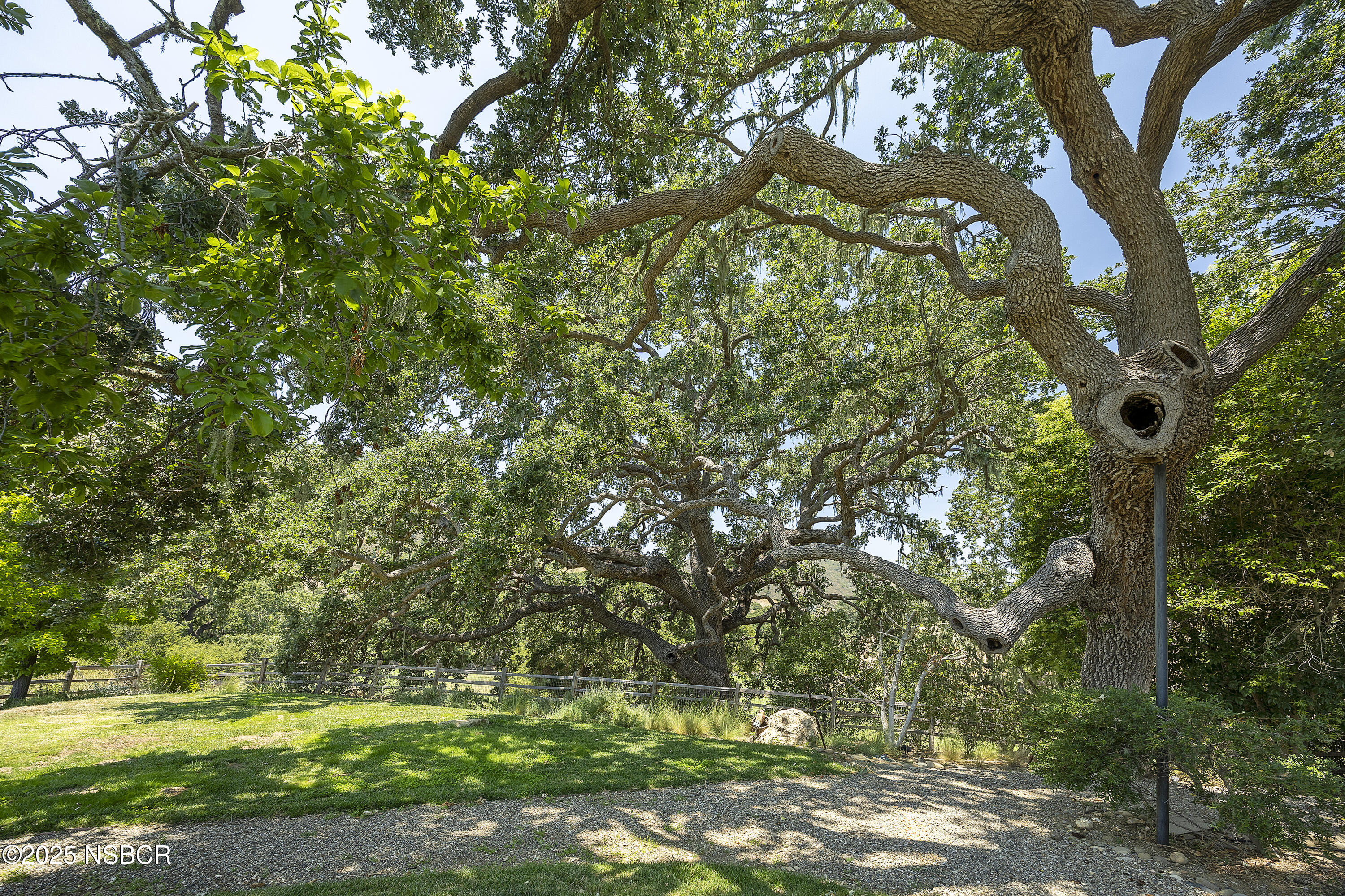 MLS #25001368 image #16